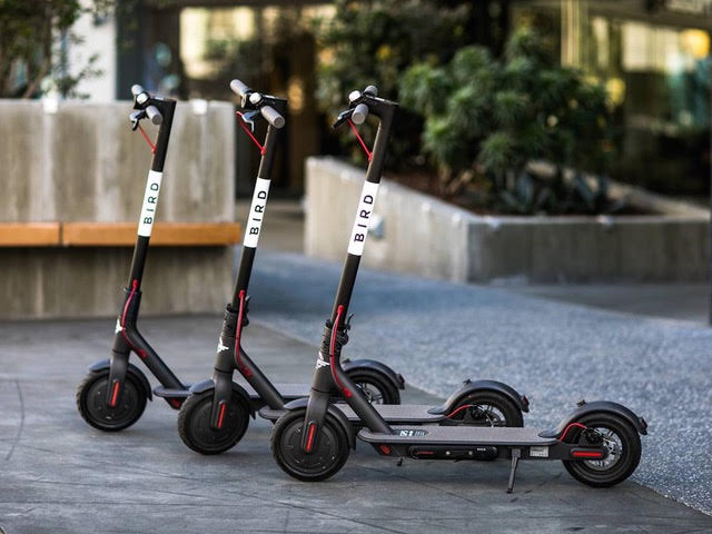 bird scooters